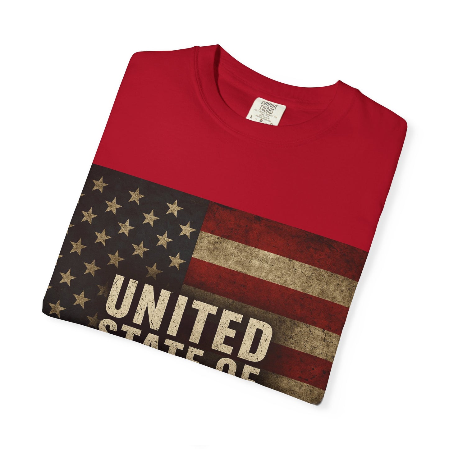 UNITED STATE OF DECAY Tee, Casual Wear