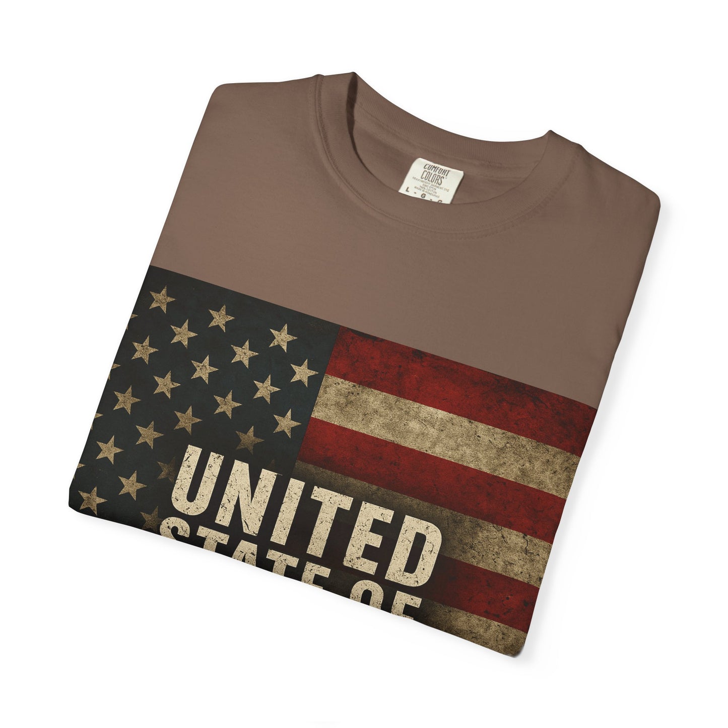 UNITED STATE OF DECAY Tee, Casual Wear