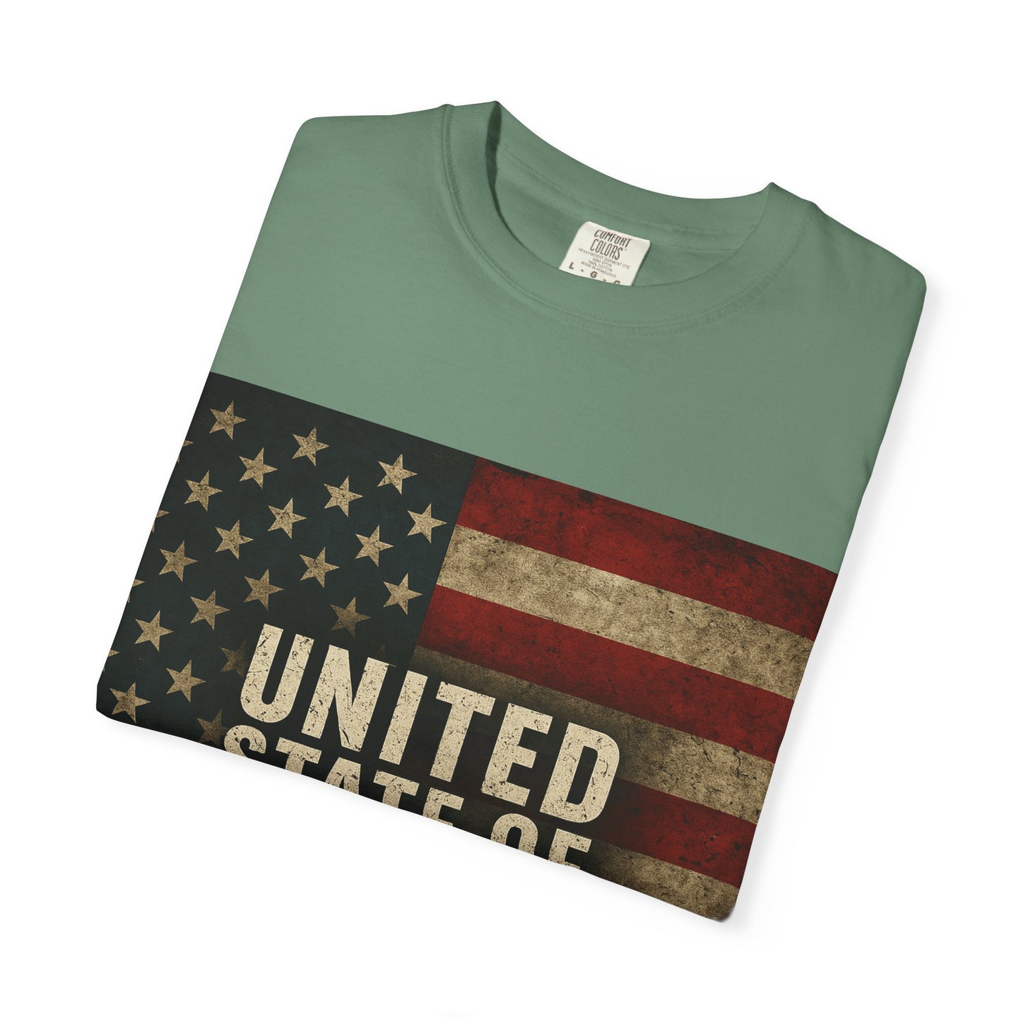 UNITED STATE OF DECAY Tee, Casual Wear