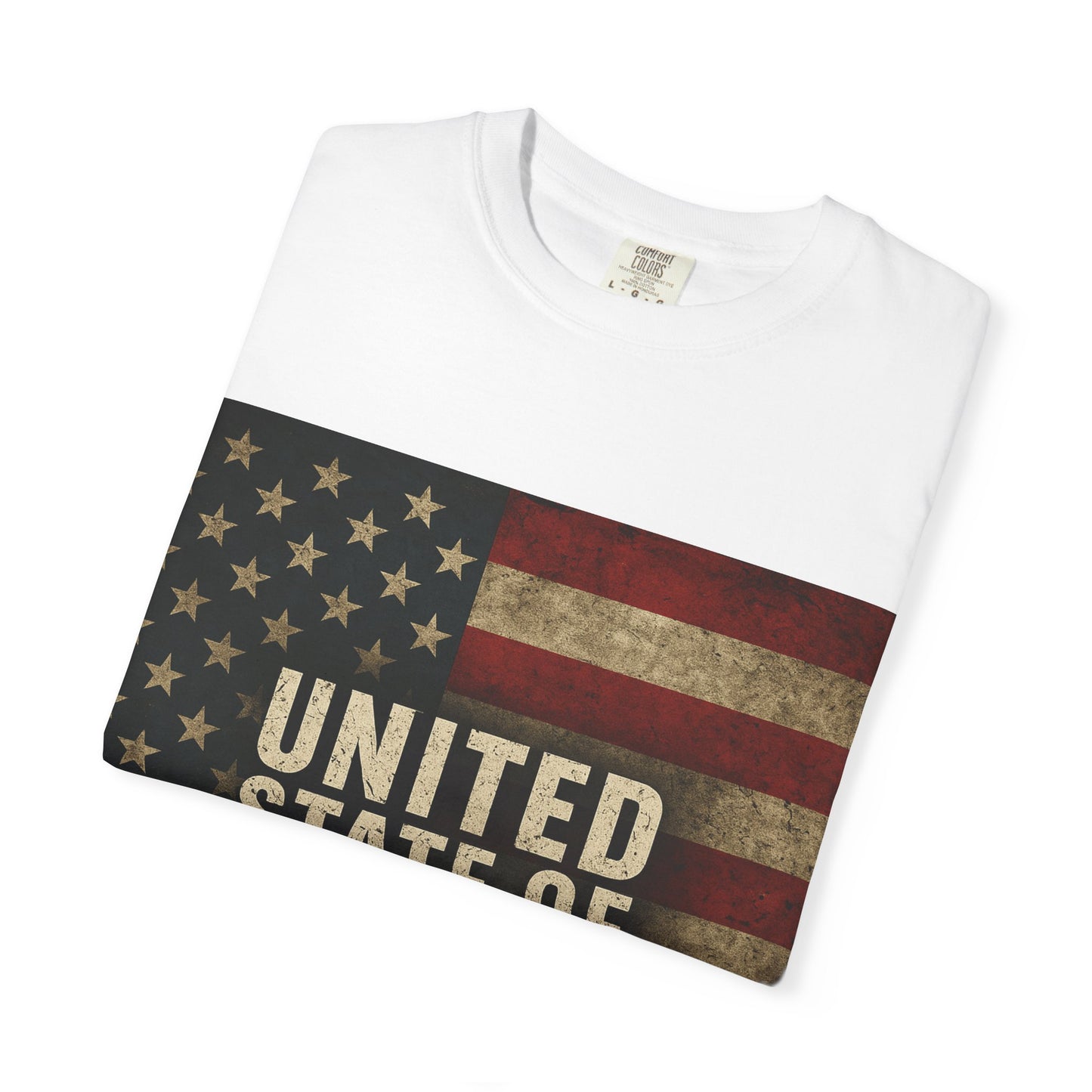 UNITED STATE OF DECAY Tee, Casual Wear