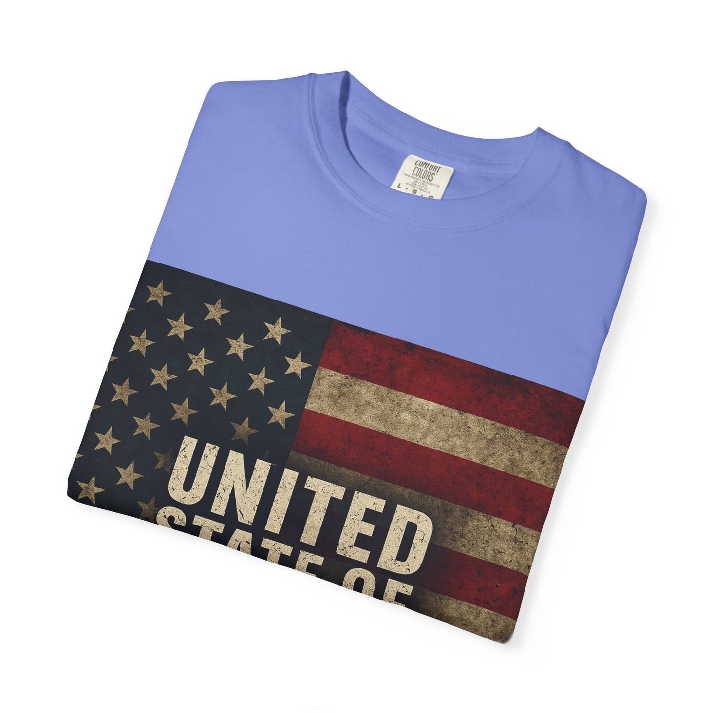UNITED STATE OF DECAY Tee, Casual Wear