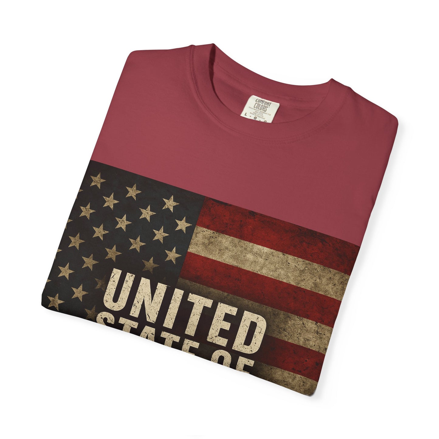 UNITED STATE OF DECAY Tee, Casual Wear