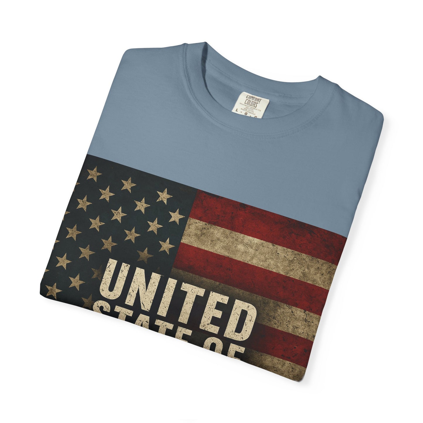 UNITED STATE OF DECAY Tee, Casual Wear