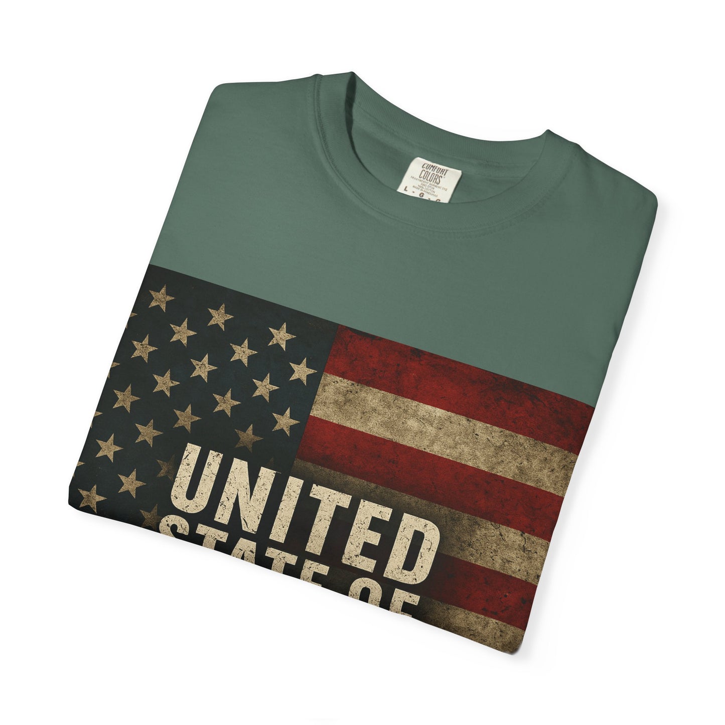 UNITED STATE OF DECAY Tee, Casual Wear